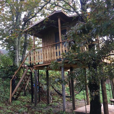 Villa Palheiro Do Vale Do Paiva Cabril  Esterno foto